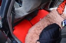 Коврики на Toyota Mark II (100) 1996 - 2001 в Шахтах