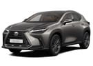 Ворсовые коврики на Lexus NX II 2021 - 2025 в Шахтах