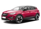 Коврики на Opel Grandland X 2017 - 2025 в Шахтах