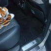 Коврики на Tank 500 2021 - 2025 в Шахтах