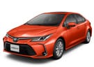 Коврики на Toyota Corolla (E21) 2018 - 2025 в Шахтах
