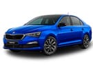 Ворсовые коврики на Skoda Rapid II 2019 - 2025 в Шахтах