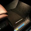 Коврики на BMW X5 (G05/G18) 2018 - 2025 в Шахтах
