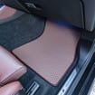 Коврики на BMW X5 (G05/G18) 2018 - 2025 в Шахтах