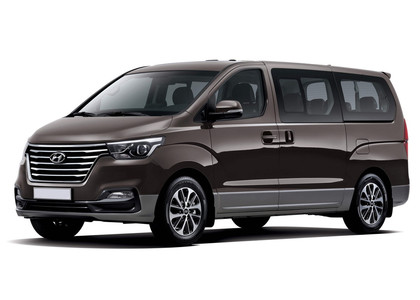 Ворсовые коврики на Hyundai H1 II 2007 - 2022 в Шахтах