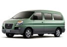 Коврики на Hyundai Starex 1996 - 2007 в Шахтах