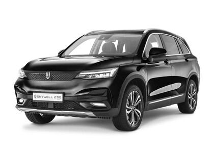 Ворсовые коврики на Skywell ET5 2021&nbsp;-&nbsp;2026 в Шахтах