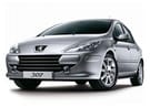 Коврики на Peugeot 307 2001 - 2008 в Шахтах