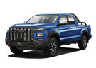 Ворсовые коврики на JAC T9 2021 - 2025 в Шахтах