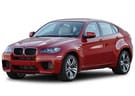 Коврики на BMW X6 (E71/E72) 2008 - 2014 в Шахтах