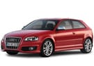 Коврики на Audi S3 (8P) 2006 - 2012 в Шахтах