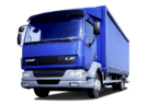 Ворсовые коврики на DAF LF 2001 - 2025 в Шахтах