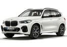 Коврики на BMW X5 (G05/G18) 2018 - 2025 в Шахтах