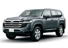 Коврики на Toyota Land Cruiser 300 2021 - 2025 в Шахтах