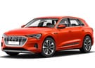 EVA коврики на Audi e-tron 2018 - 2025 в Шахтах