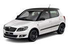 EVA коврики на Skoda Fabia II 2007 - 2015 в Шахтах